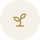 Ícone